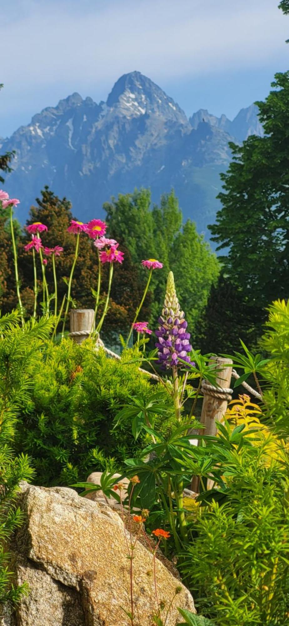 Vila Kollar Vysoke Tatry Phòng bức ảnh